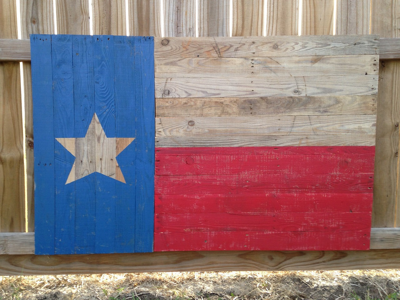 Celebrating Texas Day: Big Adventures with Your Dog in the Lone Star State!